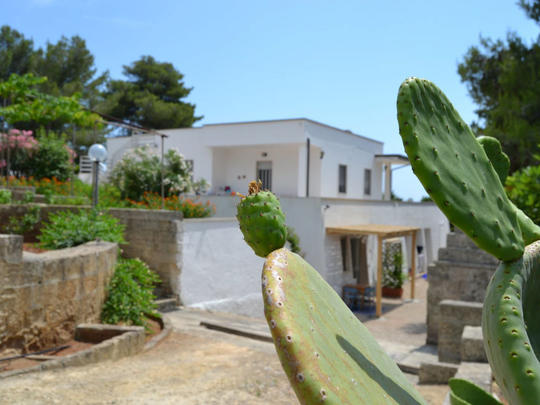 Apartamenty Lu Ientu, Włochy, Salento, Torre Vado, Dom
