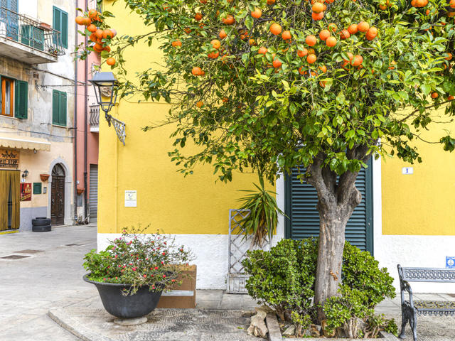 House/Residence|Il Marinaio|Elba Island|Rio Marina