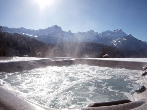 La struttura|Chalet Nirvana|Alpi Vodesi|Villars