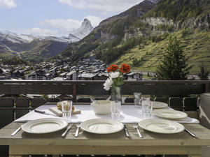 Haus/Residenz|Dianthus|Wallis|Zermatt