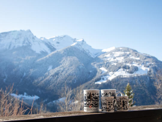 Appartement Chavonnes 11, Zwitserland, Alpen Vaudoises, Gryon, Uitzicht