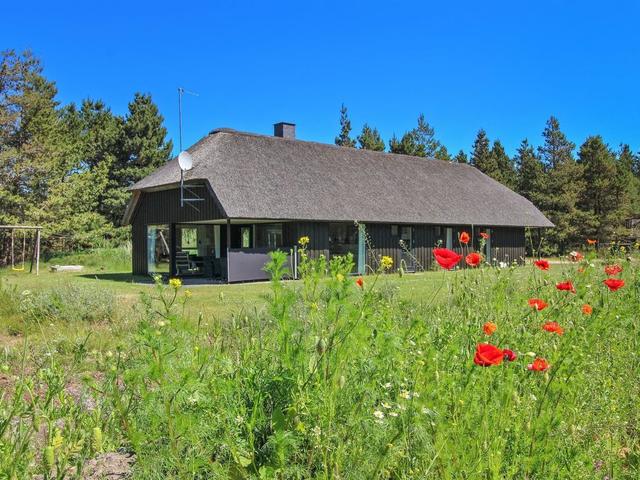 Haus/Residenz|"Dix" - 900m from the sea|Jütlands Westküste|Blåvand