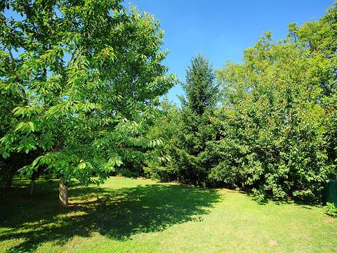 Maison / Résidence de vacances|Goliath|Lac Balaton rive sud|Balatonszarszo