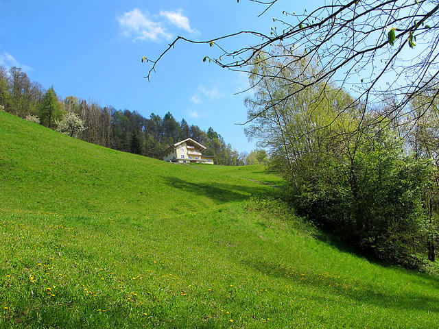 Dom/Rezydencja|Rot|Pongau|Goldegg