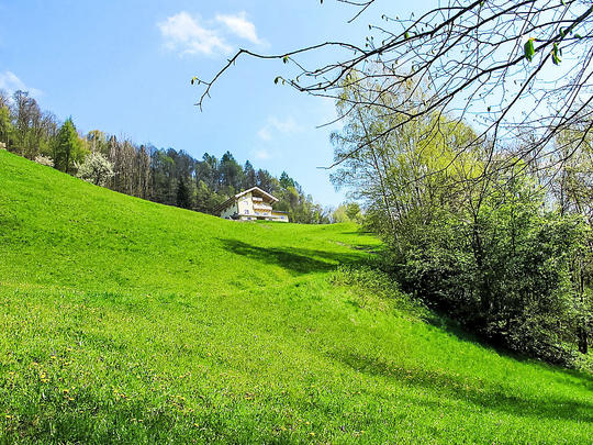 Appartamento Achtalgut, Austria, Pongau, Goldegg, Casa