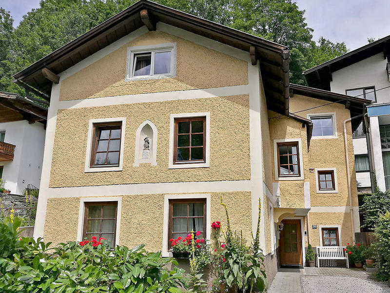 Haus/Residenz|Ferienhaus Dr.Steiner|Pinzgau|Zell am See
