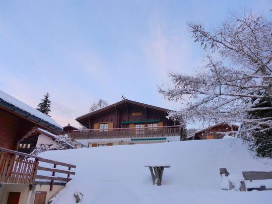 Appartement Chalet Papillon, Zwitserland, Wallis, Bürchen, Huis/residentie