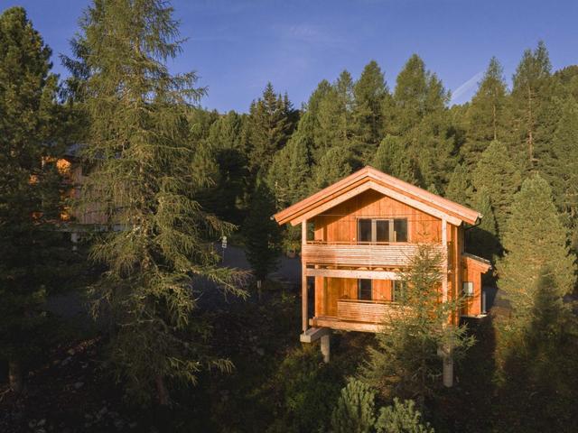 House/Residence|Superior # 1 Sauna & Hot Tub|Styria|Turracher Höhe