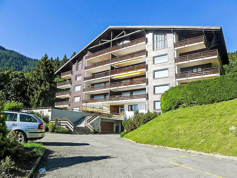 Haus/Residenz|Schuss 23|Waadtländer Alpen|Villars