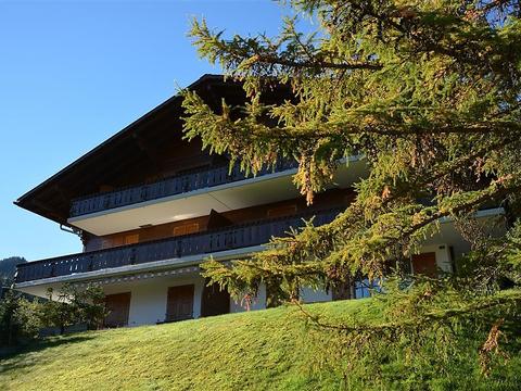 Inside|Hornflue (Wohlwender)|Bernese Oberland|Saanen