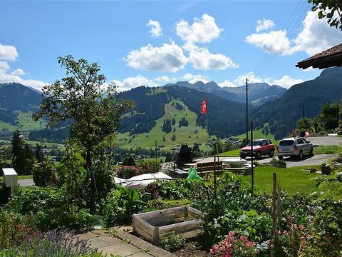 Innenbereich|Rehweid (EG)|Berner Oberland|Saanen