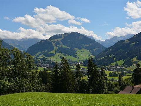 Sisällä|Rehweid (EG)|Bern Oberland|Saanen