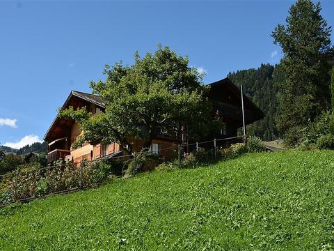 Innenbereich|Meielblick|Berner Oberland|Saanen