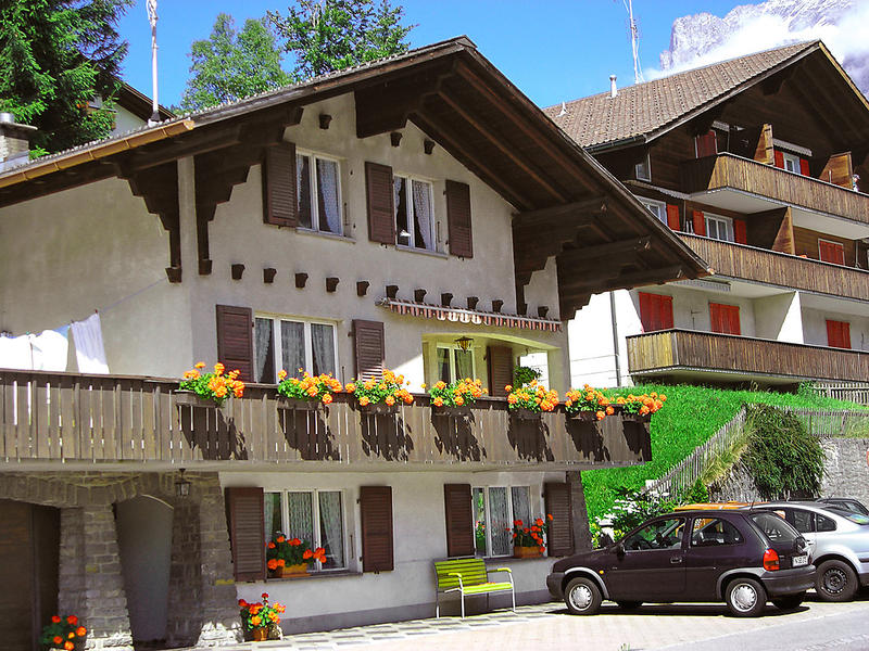 Haus/Residenz|Strassscheuer|Berner Oberland|Grindelwald