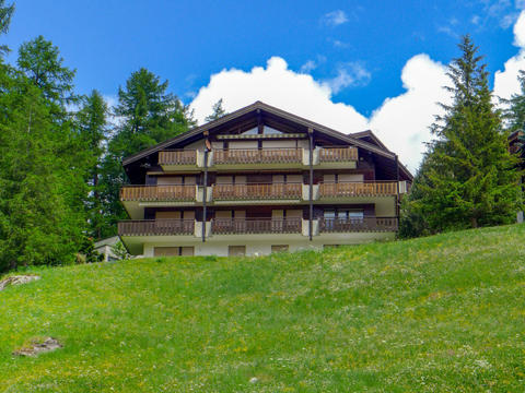 Hus/ Residence|Sonnhalde B|Valais/Wallis|Zermatt