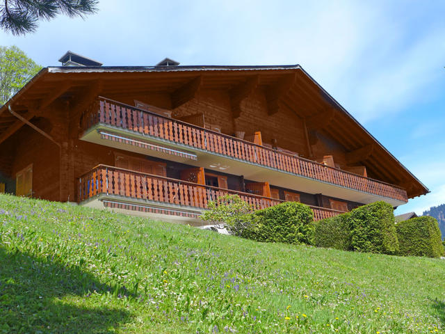 House/Residence|Les Aiguilles d'Argent 10|Alpes Vaudoises|Villars