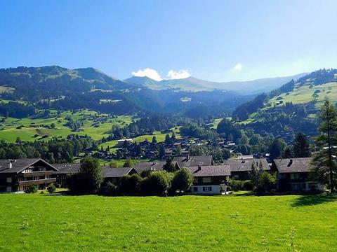 Inside|Amaryllis|Bernese Oberland|Lenk