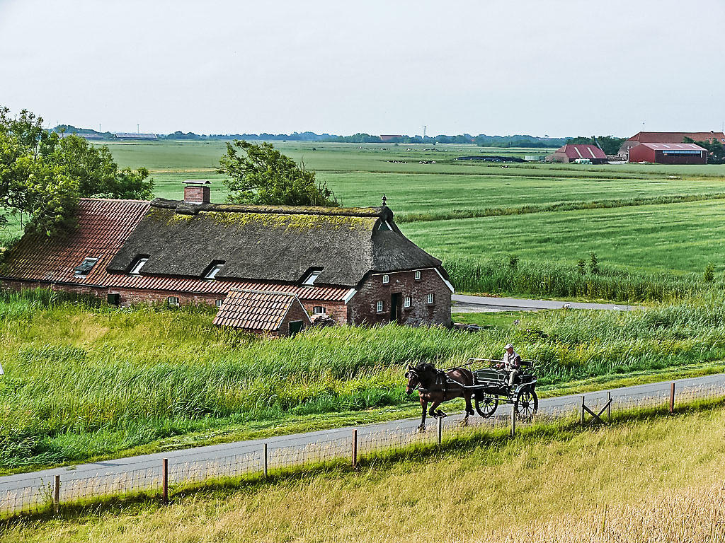 Ferienhaus Itzendorfer Rott In Norddeich DE2981 651 1 Interhome