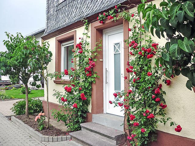 Dom/Rezydencja|Haus Irmgard|Hunsrück|Blankenrath