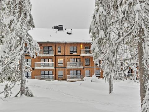 Dům/Rezidence|Cranberry c23|Laponsko|Kittilä