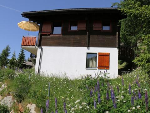 Huis/residentie|Brunnquell|Wallis|Bettmeralp