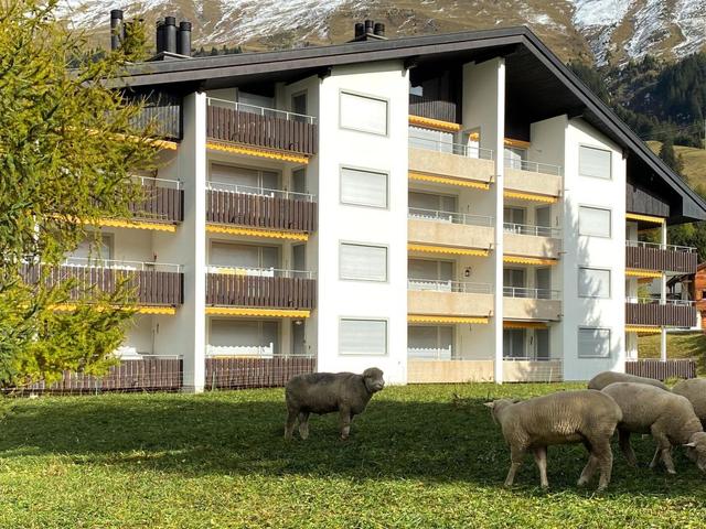 House/Residence|Triangel D Petersen|Mittelbünden|Parpan