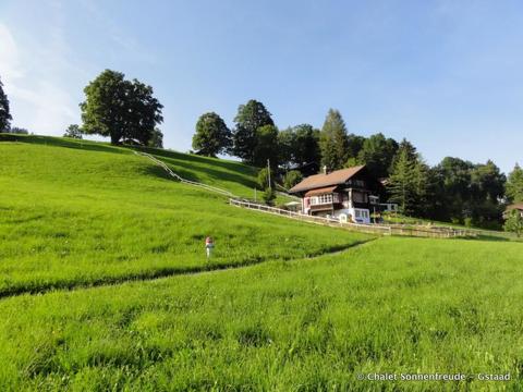 Dom/Rezydencja|Sonnenfreude, Chalet|Oberland Berneński|Schönried