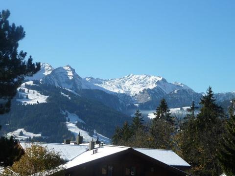 Wnętrze|Suzanne Nr. 18|Oberland Berneński|Schönried