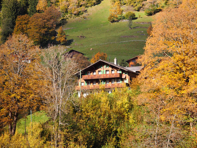 Hus/ Residens|Chalet Auf dem Vogelstein|Berner Oberland|Grindelwald