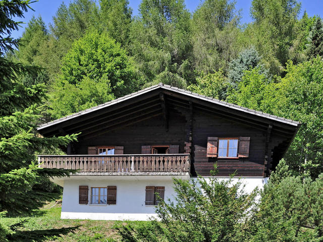 House/Residence|Chalet le Chamois|Freiburg|Moléson-sur-Gruyères