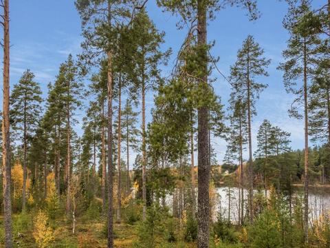 Hus/ Residens|Vuokatinlampi 7 b|Kainuu|Sotkamo