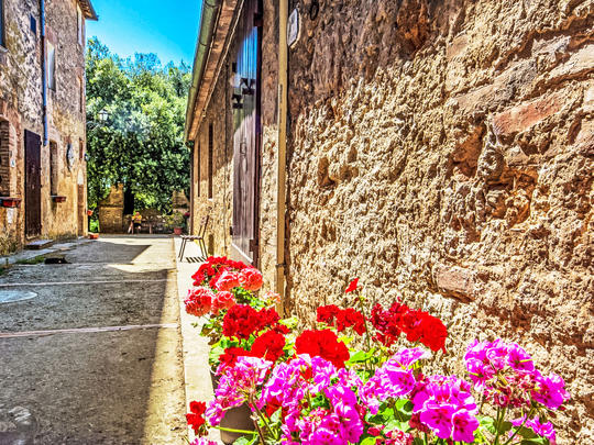 Apartamenty Il Cardo, Włochy, Siena i okolice, Sovicille, Dom