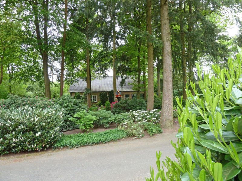 Haus/Residenz|Bosrijk Ruighenrode|Gelderland|Lochem