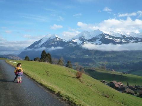 Wnętrze|Ferienhaus Niesen View|Oberland Berneński|Erlenbach