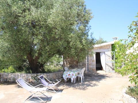 Casa/Residencia|Trullo Selva|Trulli|Ceglie Messapica