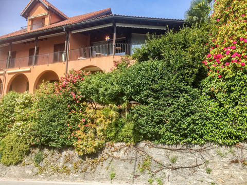 House/Residence|Gartenwohnung Les Hirondelles|Ticino|Orselina