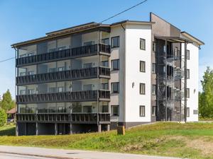 Haus/Residenz|Tahko spa red - vuori apartment|Nordsavo|Nilsiä