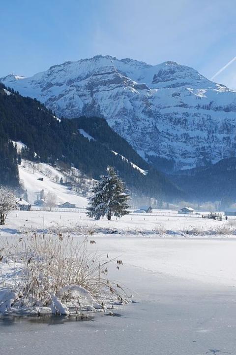 Sisällä|Teleboy|Bern Oberland|Lenk