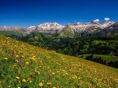 Sisällä|Teleboy|Bern Oberland|Lenk