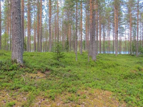 Dům/Rezidence|Pilkkaniemi|North-Karelia|Juuka