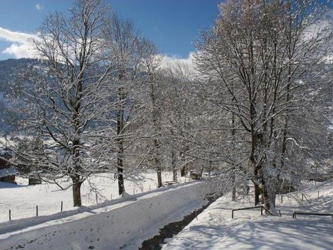 Wnętrze|Pony 5-Bettwohnung|Oberland Berneński|Lenk