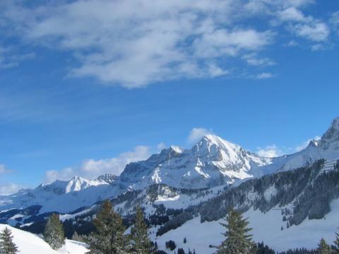 Wnętrze|Am Gilsbach 2|Oberland Berneński|Adelboden