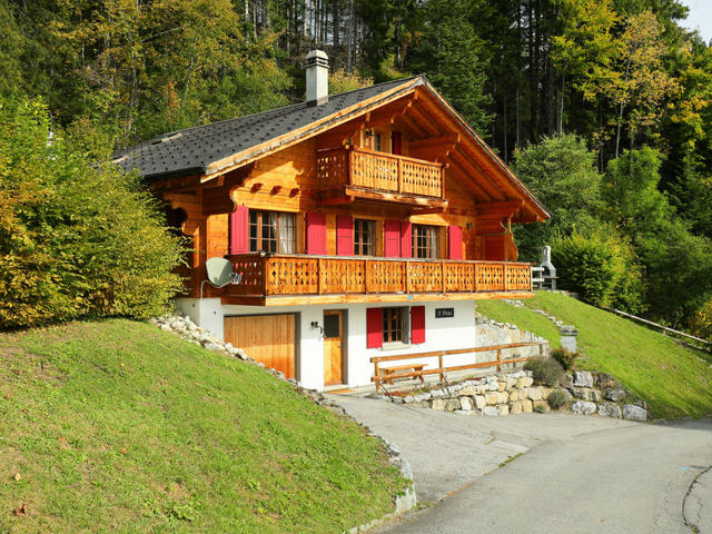 Dom/Rezydencja|Saint Piran|Alpes Vaudoises|Villars
