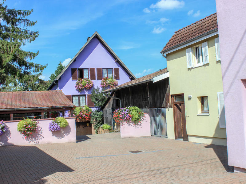 Hus/ Residens|Résidence jaune et rose|Alsace|Marckolsheim
