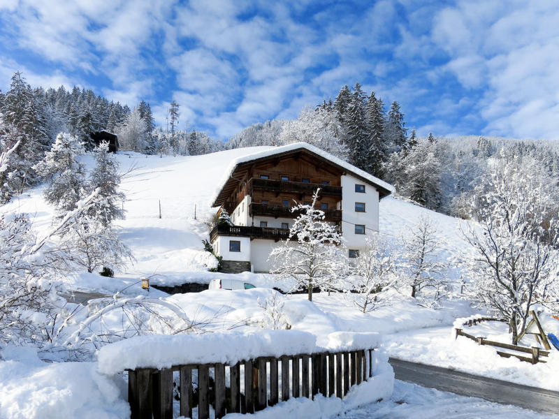 House/Residence|Baggenhof (MHO795)|Zillertal|Mayrhofen