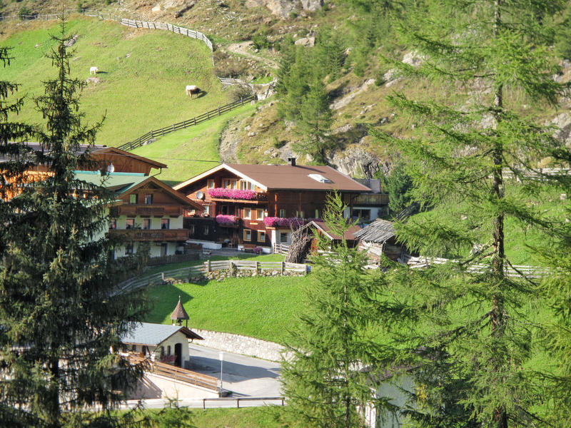 Casa/Residencia|Winnebachhof (GES140)|Ötztal|Längenfeld