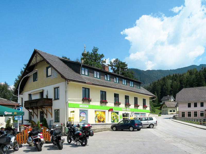 Haus/Residenz|Moser|Steiermark|Stein an der Enns
