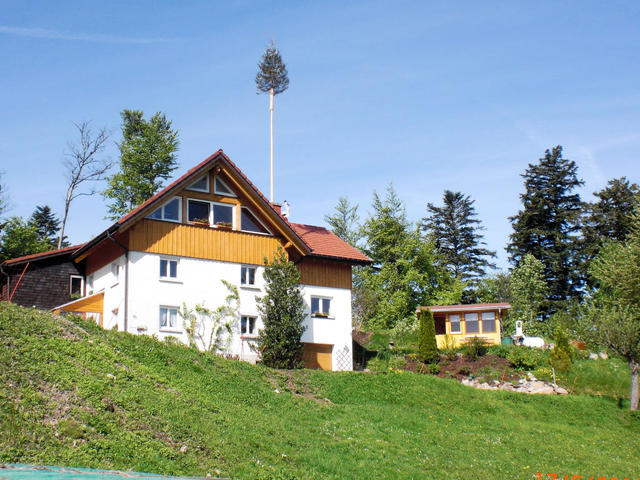 House/Residence|Mühlenmichelshäusle|Black Forest|Hinterzarten