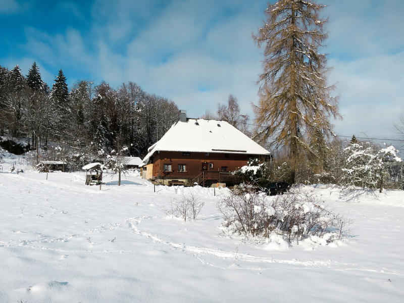 House/Residence|Bistenhof|Black Forest|Hinterzarten