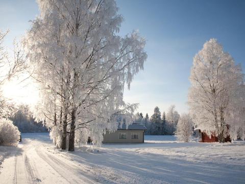 Interiér|Metsätähti|Kainuu|Sotkamo